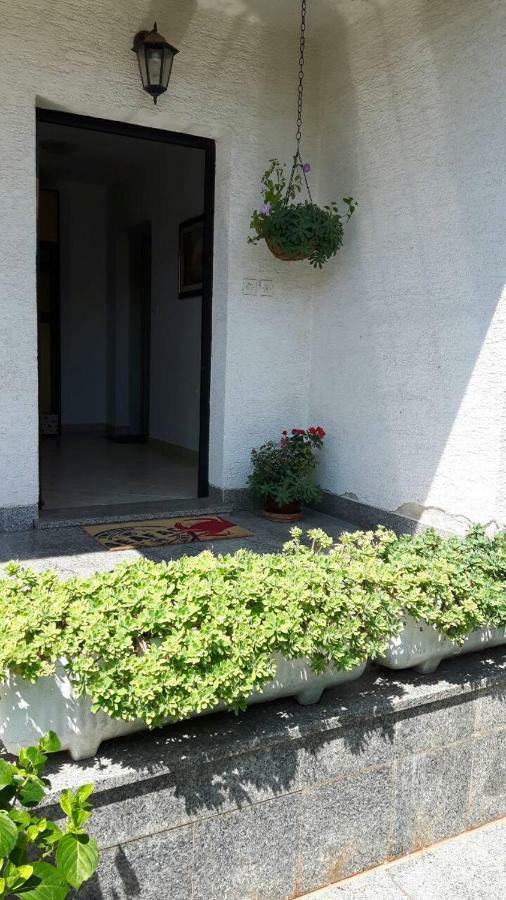 Apartament App Bajic Umag Zewnętrze zdjęcie